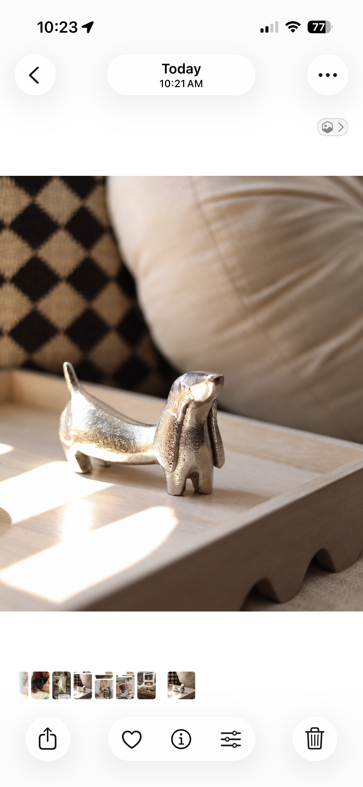 Silver Dachshund Dog